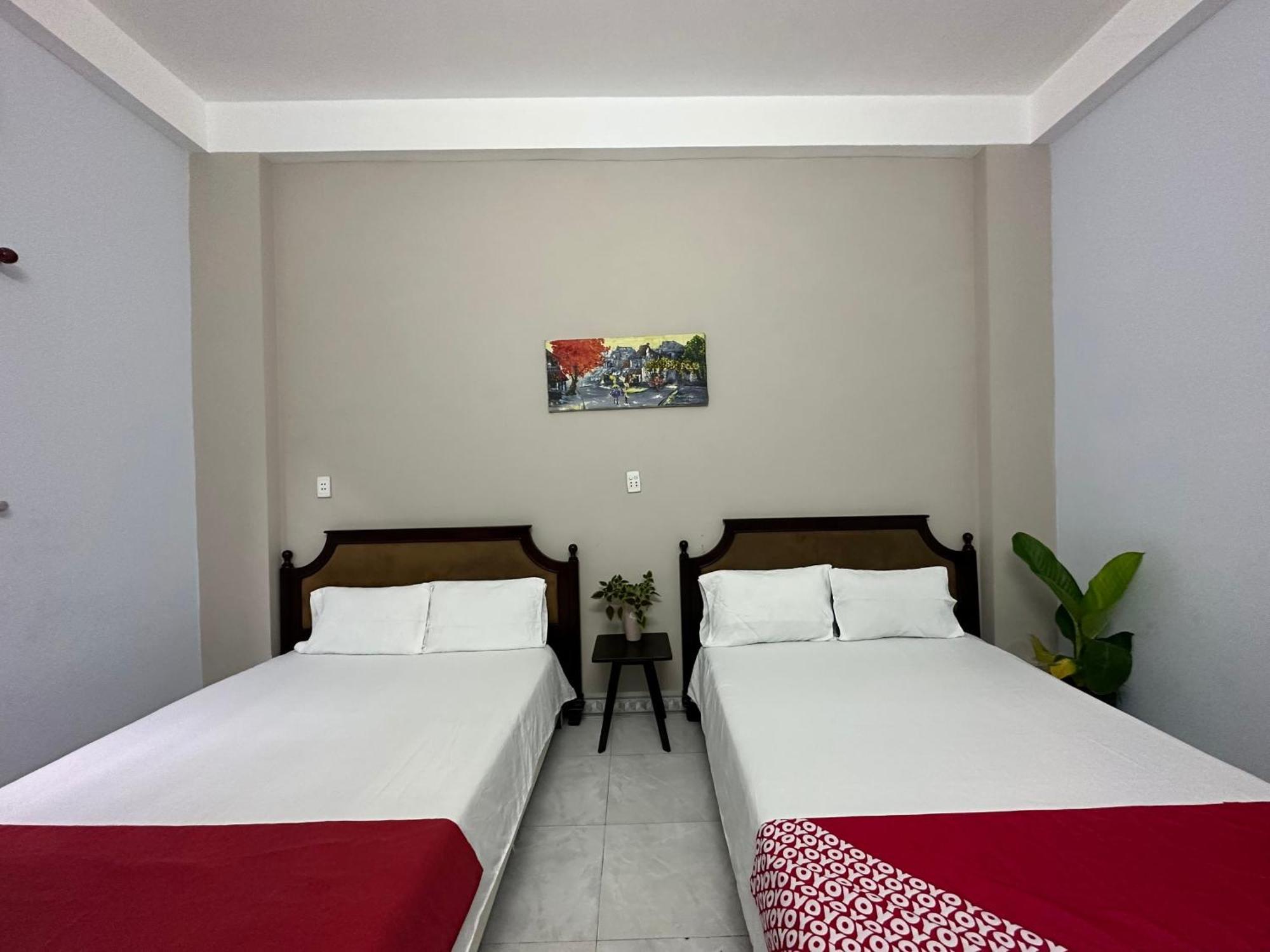 Oyo 1187 Suoi Da Motel Đà Nẵng Ngoại thất bức ảnh